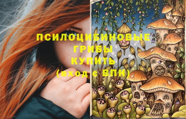 spice Алексеевка