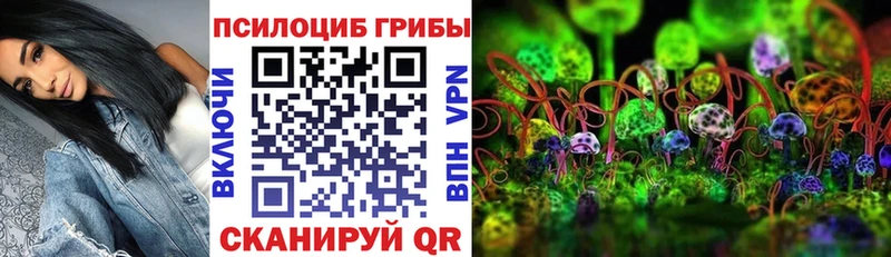 мега вход  Борзя  Псилоцибиновые грибы Psilocybine cubensis  где купить наркотик 